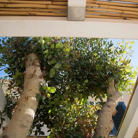 Σπίτι διακοπών Le Del Carrubo Φαβινιάνα